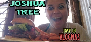 Vloging in joshua tree