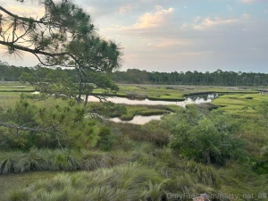 Let the vacation begin part 4