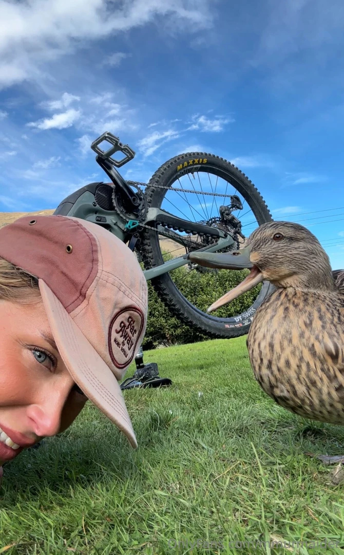 This is what i got up to today my mornings always start with the ducks 