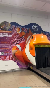 Landed in cairns the flight was delayed and now i ve waited 45 minutes