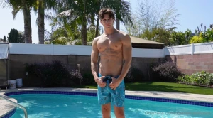 I ll dive right in