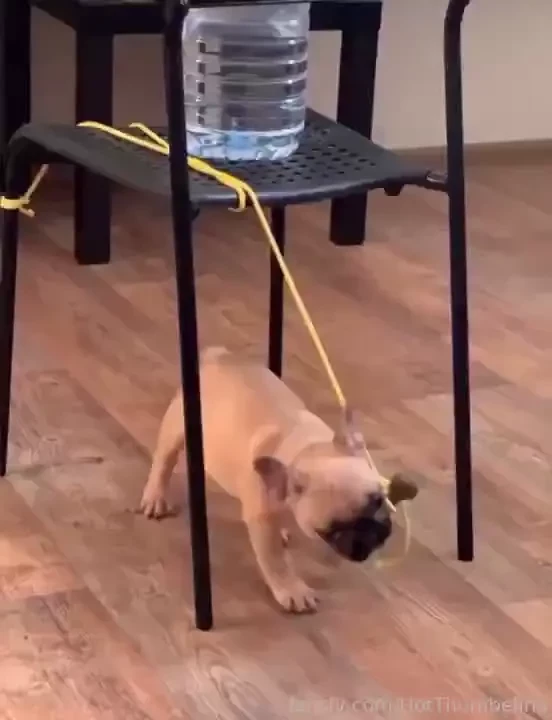 This post is about my dream come true i ve been dreaming of getting a part 3 