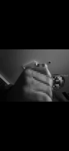 Who wants this dump of videos unblurred of my military homie the more part 4