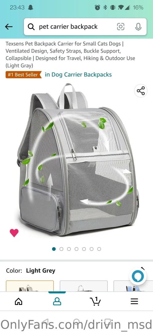 So i aquired this dog a year ago she s really cute but she s just like 