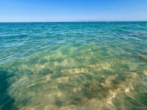 This morning i woke up and decided to head to the nude beach i have a