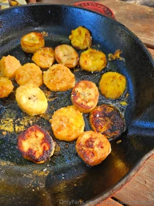 I love cooking outside part 1