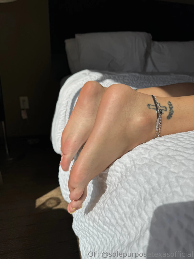 Solepurposetexasofficial part 962873 