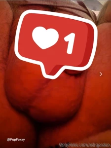 Ashgordon ashgordon it s your new daddy pupfoxxy i post all kinds of