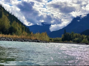 In need of a long awaited camping trip part 2