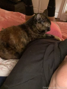 Littlemisseeve part 88