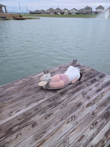 Wish u could rip my stockings and stick it in gt lt dmm me 3 part 1