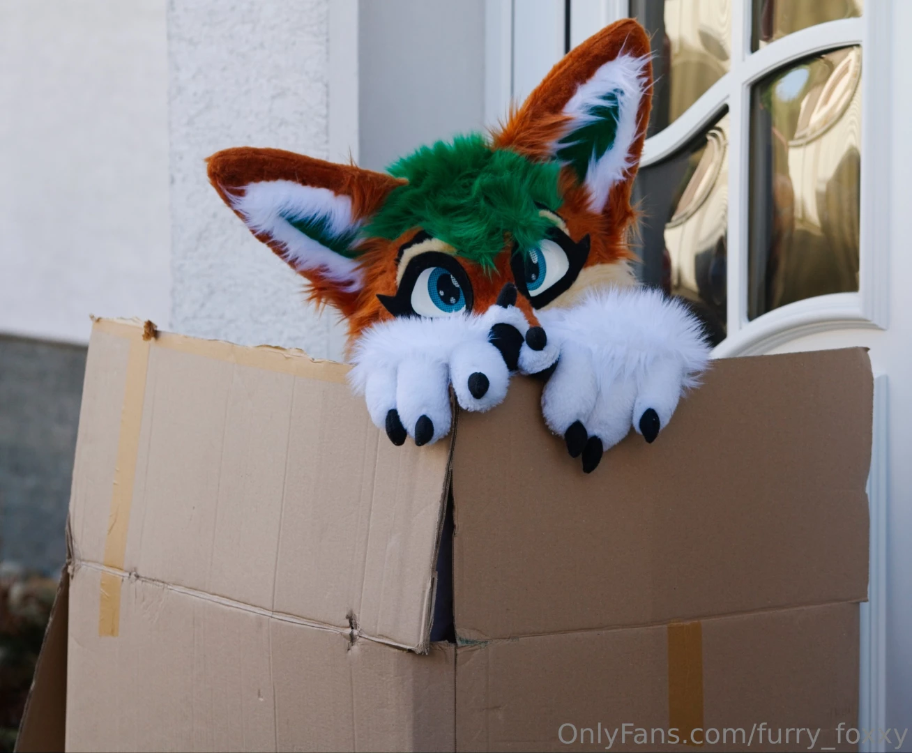 Someone forgot me outside please help me - i can give paw and give 