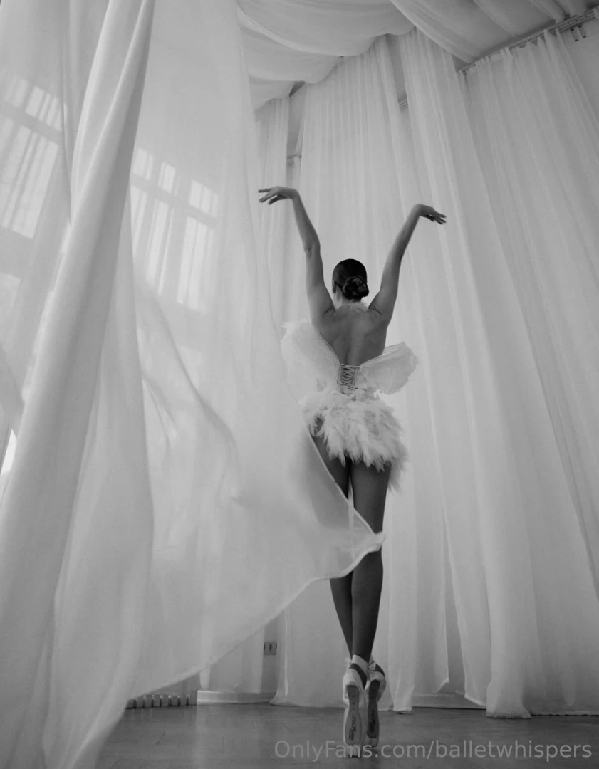 Today i have become the white swan do you love animals part 2 