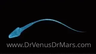 Drvenusdrmars part 1411694 