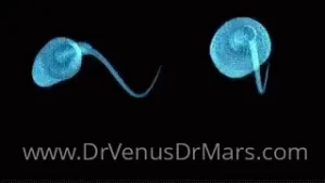 Drvenusdrmars part 1411694