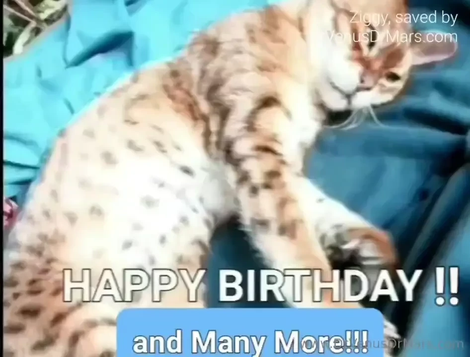 Support by sharing this birthday greeting featuring adorable rescued 