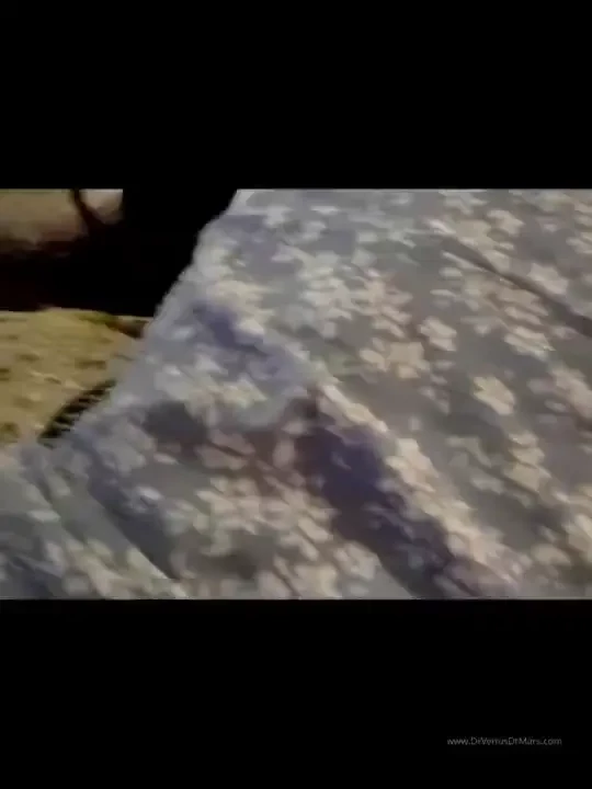 Sudden urges summer heat revives our life force chi orgone do not 