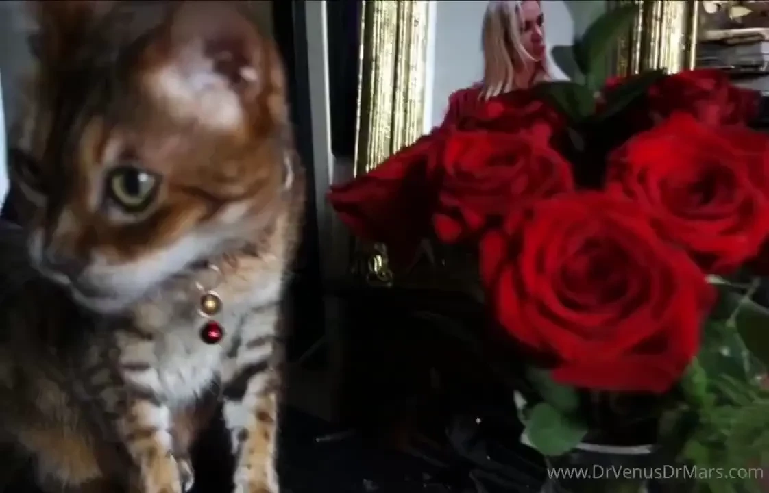 Today is vet day for ziggy at 4pm wish us luck 