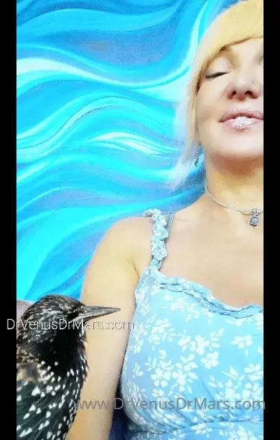Being animal rescuers also means no travel no more vacations endless 