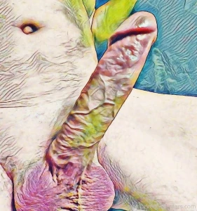 Illustrations to stimulate the imagination click on pics to see full part 4