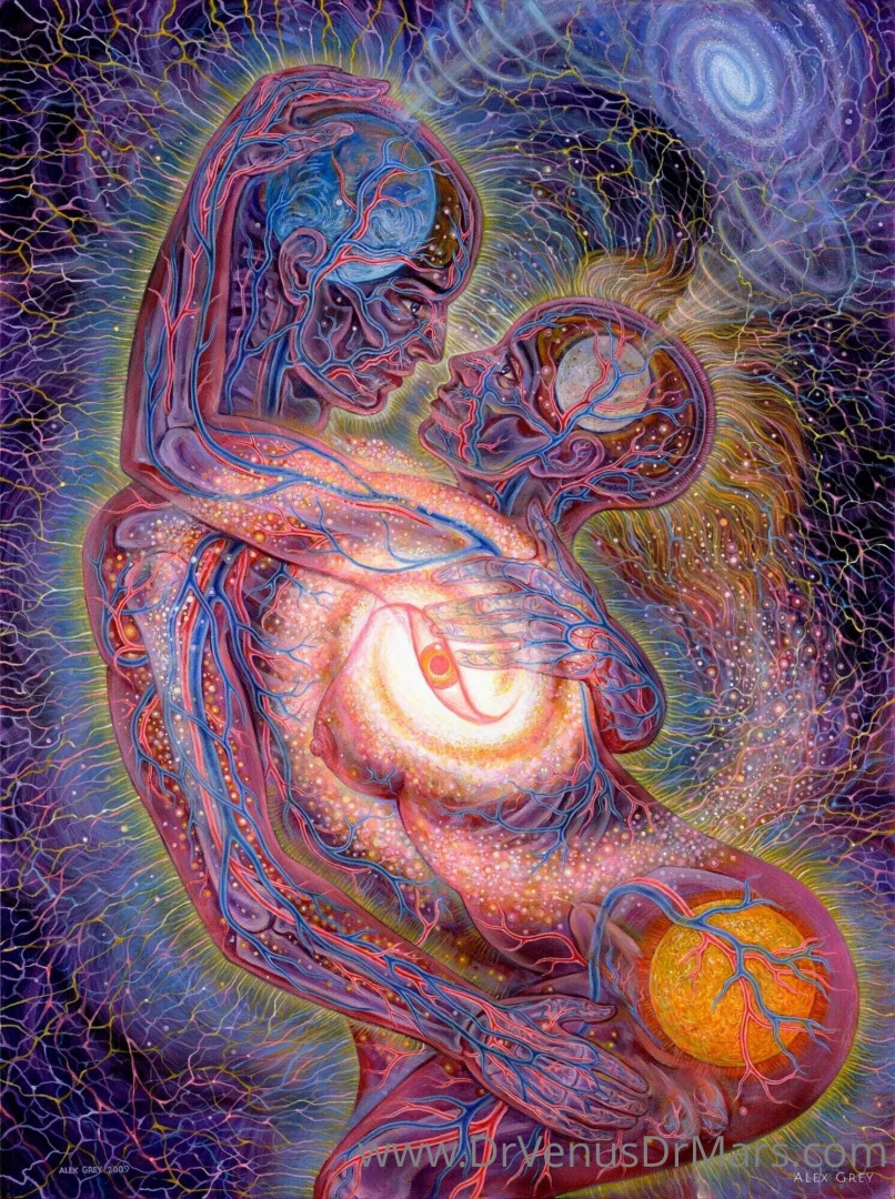 The art of love alexgrey art passion sex couples love eternal nirvana 