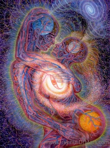 The art of love alexgrey art passion sex couples love eternal nirvana