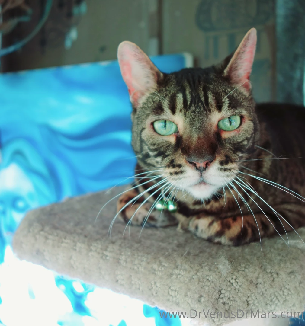 Just a few of the animals at the sanctuary ark scroll to see all 8 part 1 