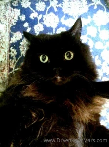 Just a few of the animals at the sanctuary ark scroll to see all 8 part 6