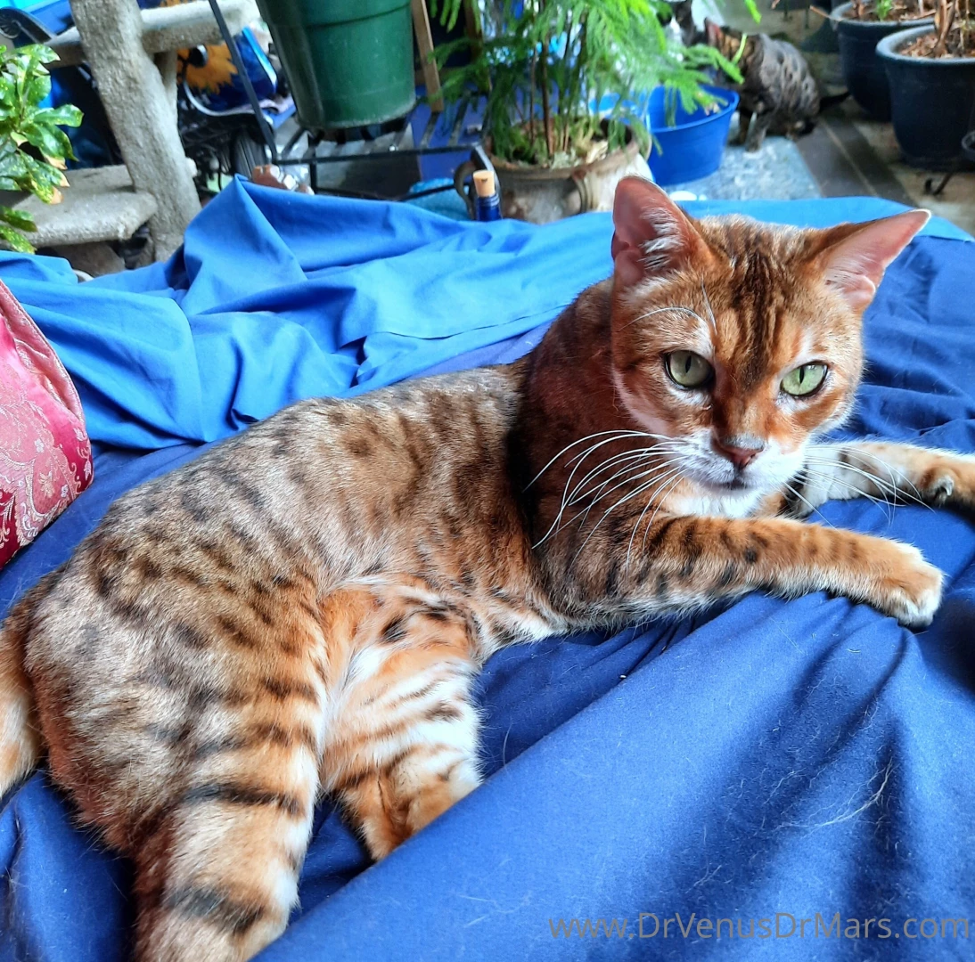 Just a few of the animals at the sanctuary ark scroll to see all 8 part 4 