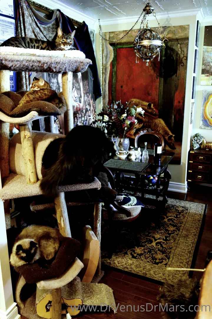 Just a few of the animals at the sanctuary ark scroll to see all 8 part 3 