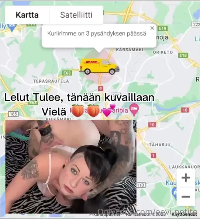 Paketti tulee seksilakanaa panokoketta dildoja tupladildoa vaatteita 