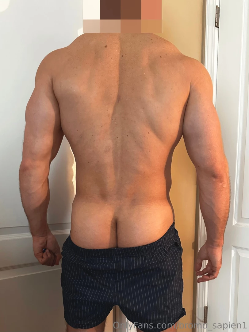 Front or back part 2681 