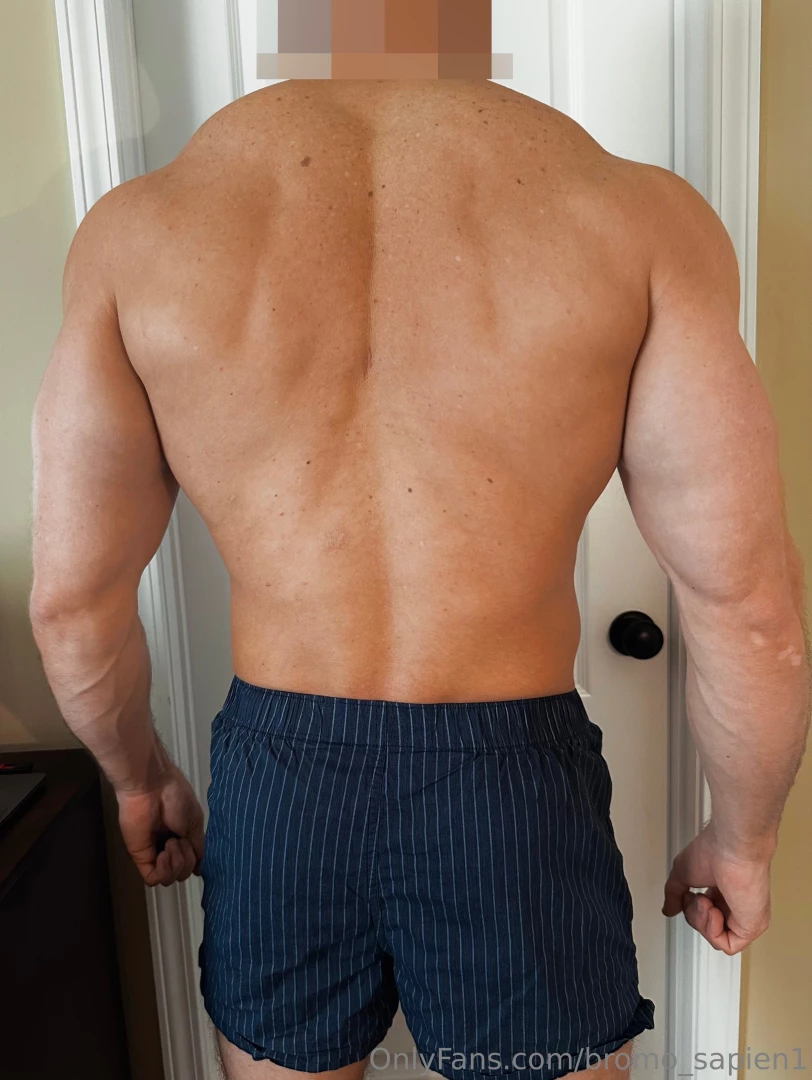 Front or back part 2683 