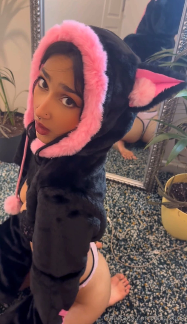 Bonjour de ton petit chat part 1 