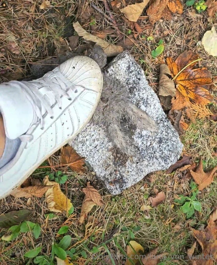 First i kick my stuffed bunny hard against a tree again and again with part 1 