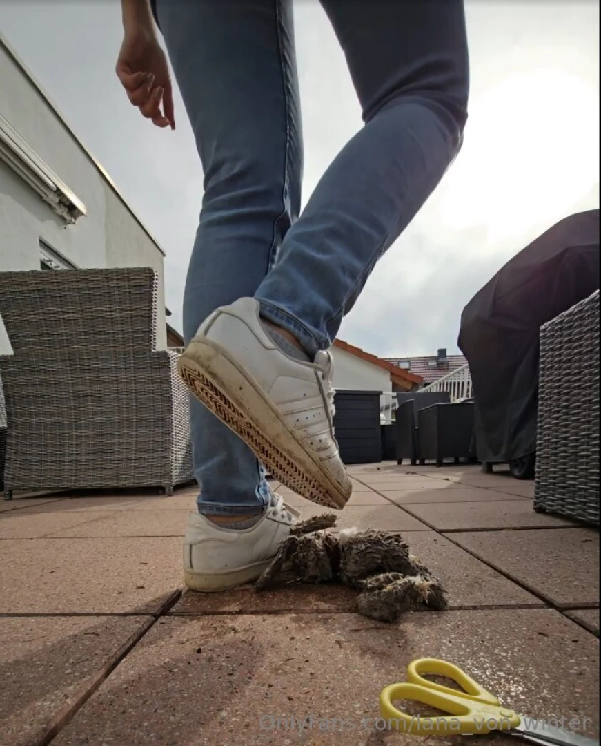 This dirty little teddy didn t stand a chance i step on him again and 