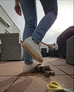 This dirty little teddy didn t stand a chance i step on him again and