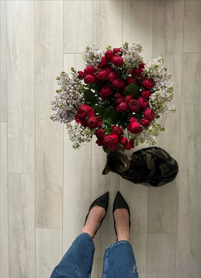I m madly in love with flowers my cat and beautiful shoes 