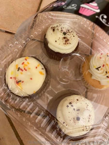 Max loves going to shows he went with a woman who brought me to enjoy