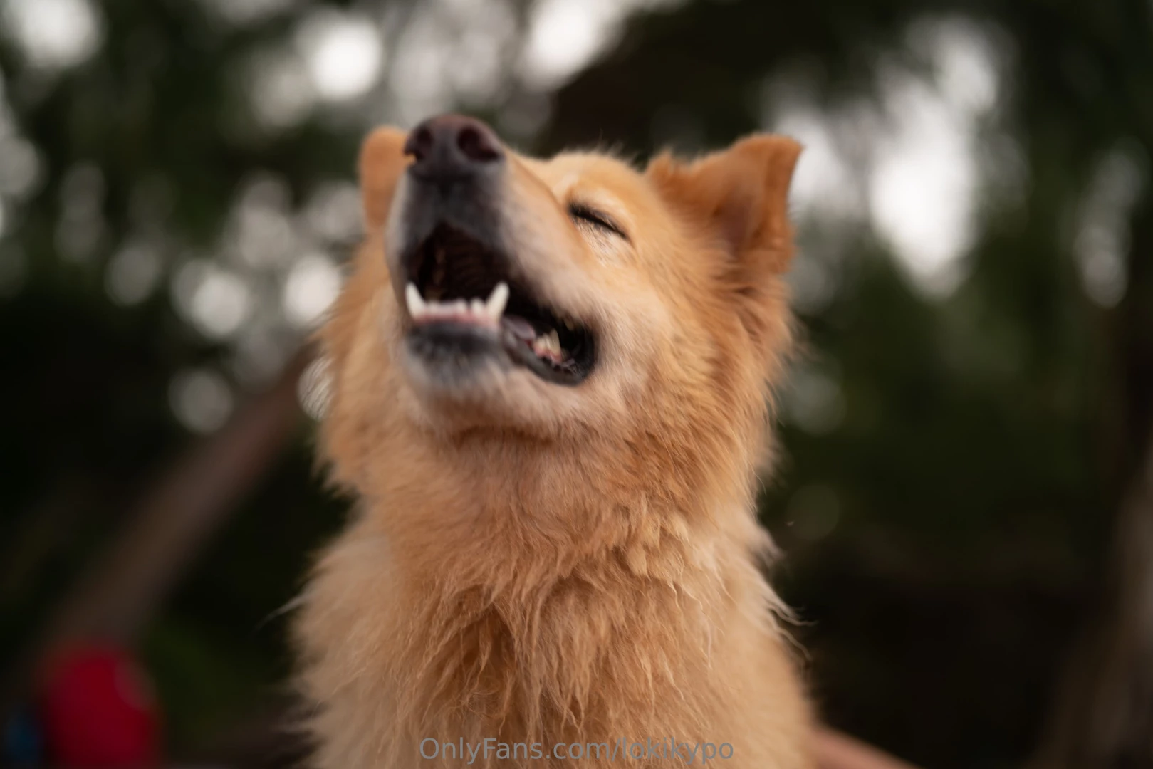 Amor de mi vida 12 a os y counting part 1 