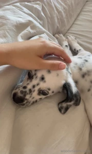 I will never forget the day i saw loki for the first time at that part 1