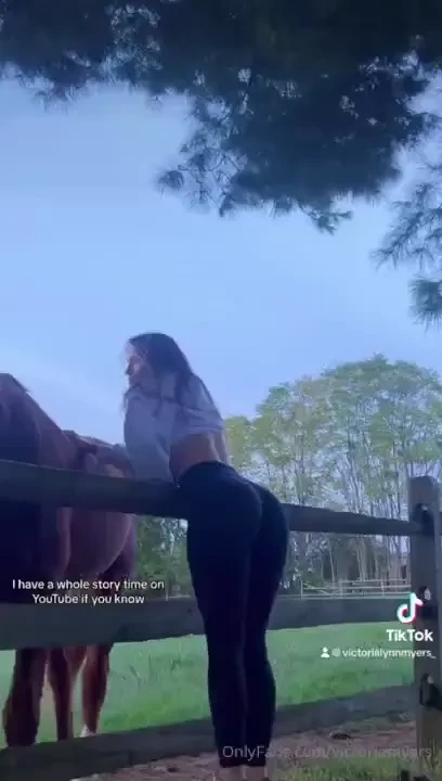 You like horses 