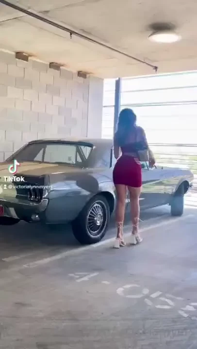 You looking at the car or you looking at me 