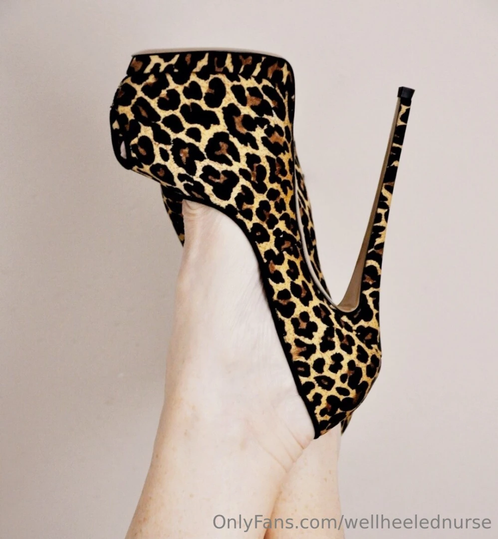 Six inch highheels by giuseppe zanotti 