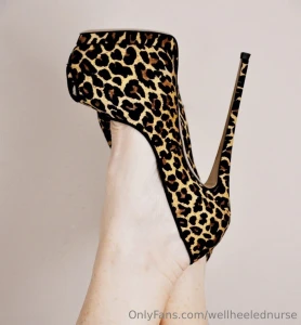 Six inch highheels by giuseppe zanotti