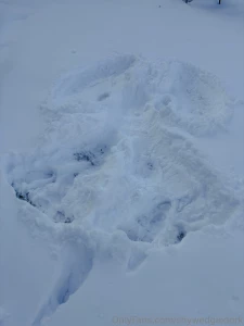 I had to take some jock lock snow wedgies today and a much worse