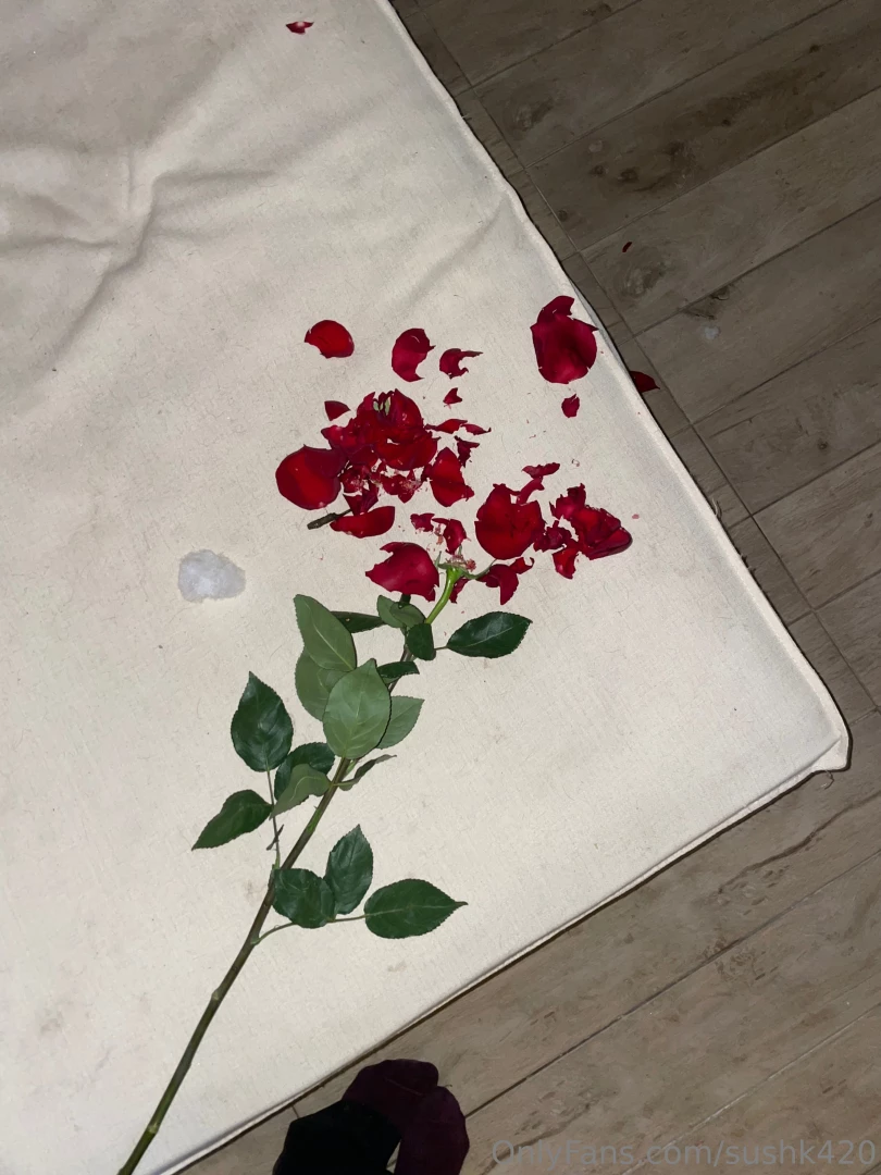 Red roses has always been a symbol of burning love amp crazy passion 