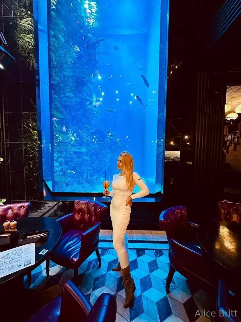 The perfect evening cocktail aquarium and my best attitude 