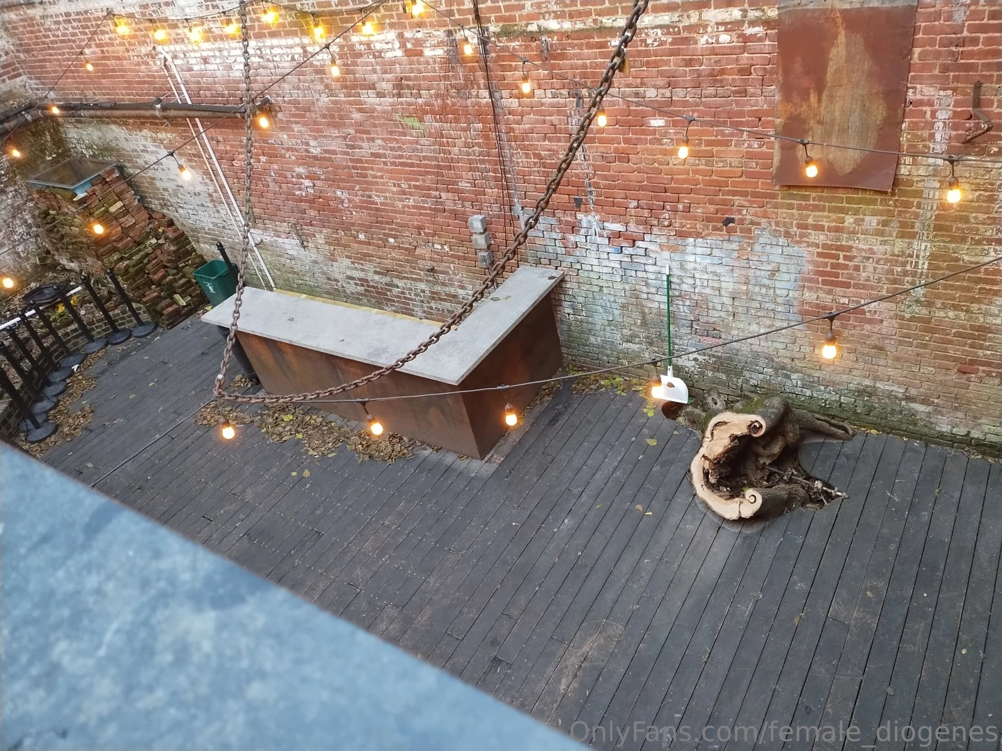 They cut down a tree in the tree room but it was falling over and 