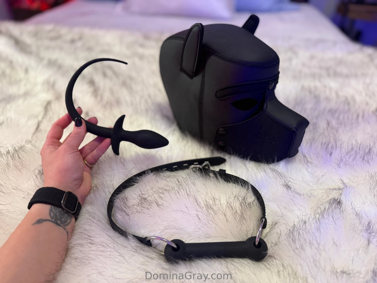 Are you a good or bad dog 